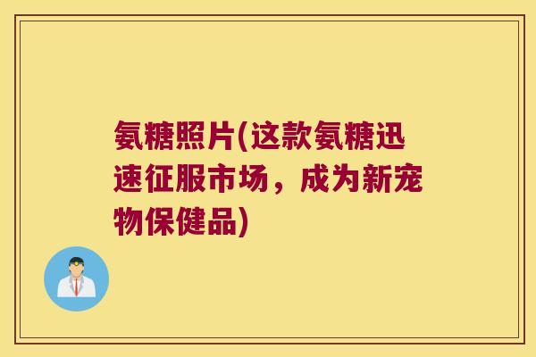 氨糖照片(这款氨糖迅速征服市场,成为新宠物保健品)