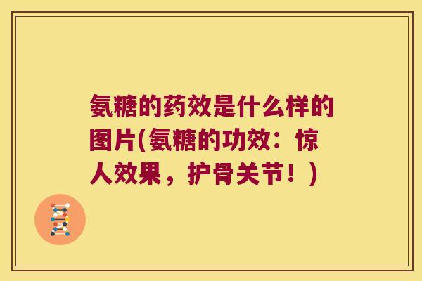 氨糖的药效是什么样的图片(氨糖的功效:惊人效果,护骨关节!)
