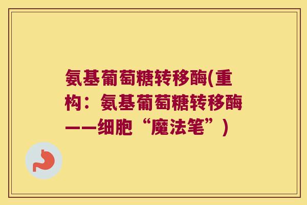 氨基葡萄糖转移酶(重构：氨基葡萄糖转移酶——细胞“魔法笔”)