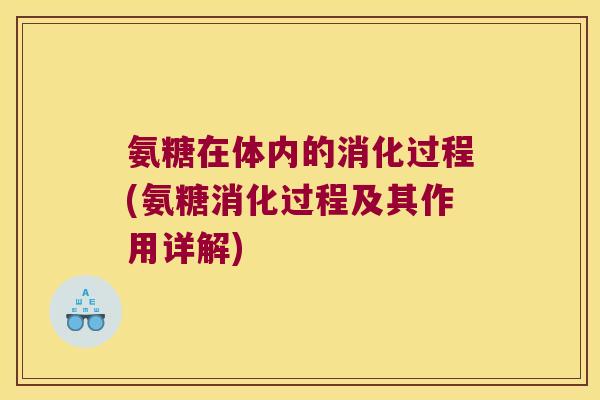 氨糖在体内的消化过程(氨糖消化过程及其作用详解)