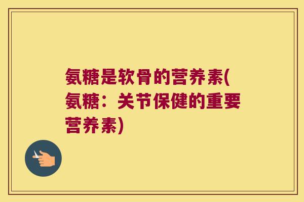 氨糖是软骨的营养素(氨糖:关节保健的重要营养素)