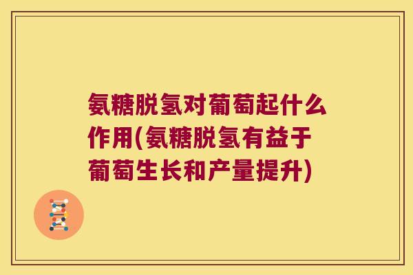 氨糖脱氢对葡萄起什么作用(氨糖脱氢有益于葡萄生长和产量提升)