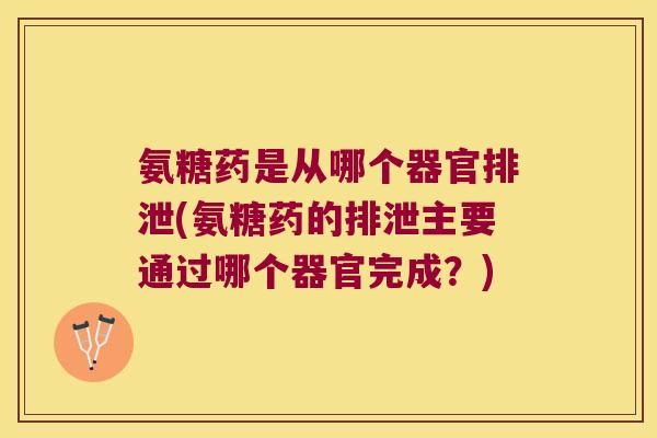 氨糖药是从哪个器官排泄(氨糖药的排泄主要通过哪个器官完成?)