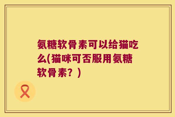 氨糖软骨素可以给猫吃么(猫咪可否服用氨糖软骨素?)