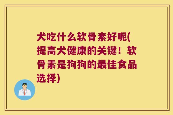 犬吃什么软骨素好呢(提高犬健康的关键!软骨素是狗狗的最佳食品选择)