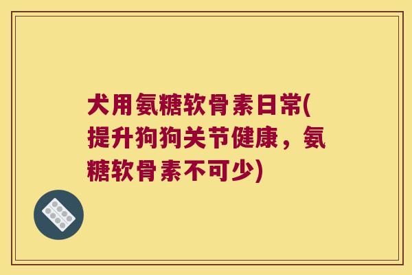 犬用氨糖软骨素日常(提升狗狗关节健康,氨糖软骨素不可少)