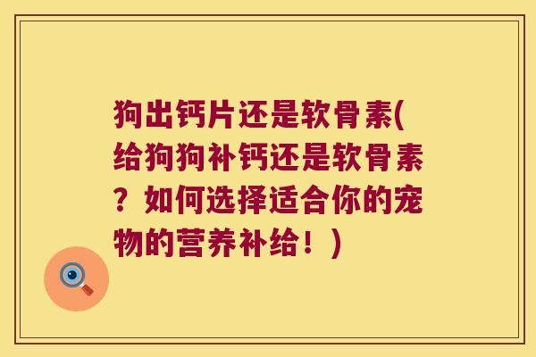 狗出钙片还是软骨素(给狗狗补钙还是软骨素?如何选择适合你的宠物的营养补给!)