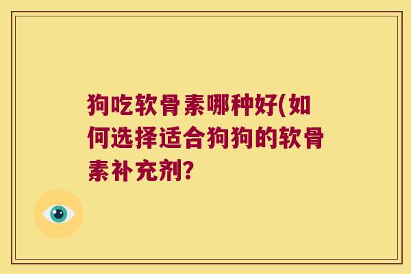 狗吃软骨素哪种好(如何选择适合狗狗的软骨素补充剂?