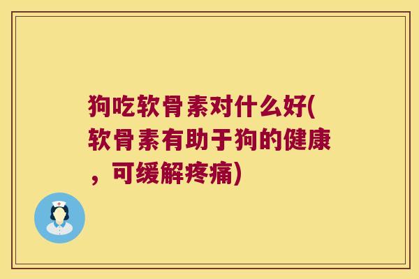 狗吃软骨素对什么好(软骨素有助于狗的健康,可缓解疼痛)