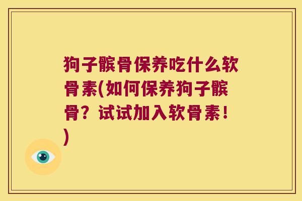 狗子髌骨保养吃什么软骨素(如何保养狗子髌骨?试试加入软骨素!)