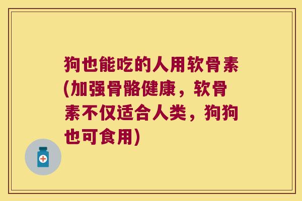 狗也能吃的人用软骨素(加强骨骼健康,软骨素不仅适合人类,狗狗也可食用)