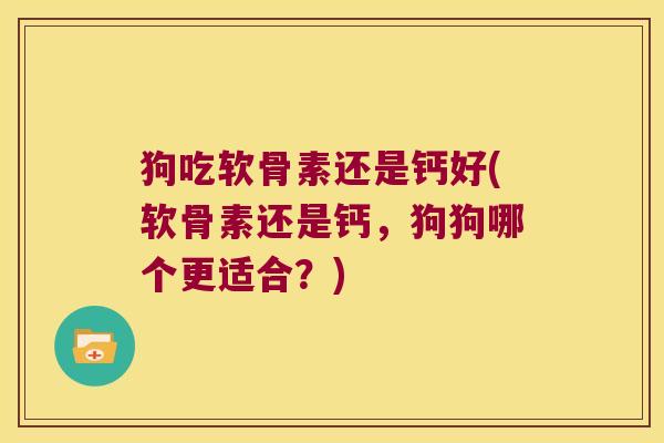 狗吃软骨素还是钙好(软骨素还是钙,狗狗哪个更适合?)