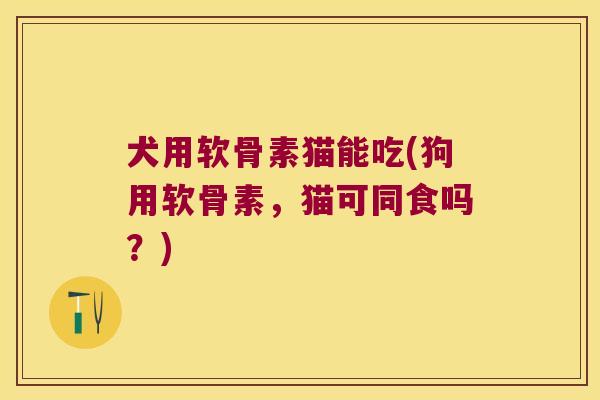 犬用软骨素猫能吃(狗用软骨素,猫可同食吗?)