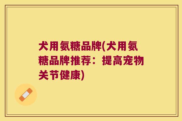 犬用氨糖品牌(犬用氨糖品牌推荐:提高宠物关节健康) 犬用氨糖品牌(犬用氨糖品牌推荐:提高宠物关节健康)