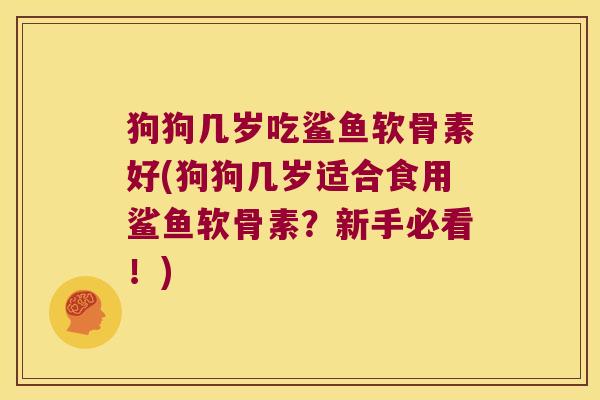 狗狗几岁吃鲨鱼软骨素好(狗狗几岁适合食用鲨鱼软骨素?新手必看!)