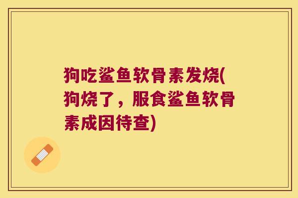狗吃鲨鱼软骨素发烧(狗烧了,服食鲨鱼软骨素成因待查)