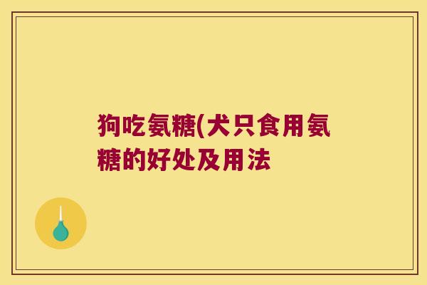 狗吃氨糖(犬只食用氨糖的好处及用法