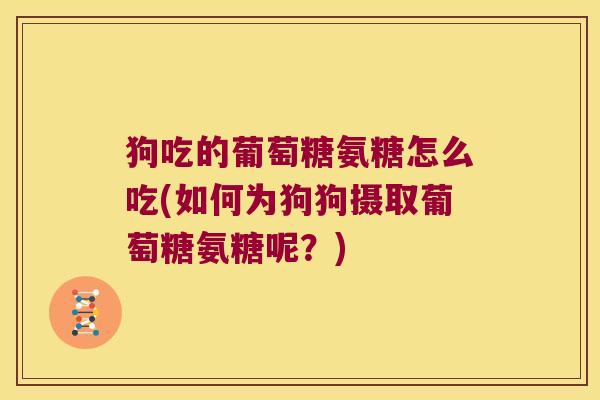 狗吃的葡萄糖氨糖怎么吃(如何为狗狗摄取葡萄糖氨糖呢?)
