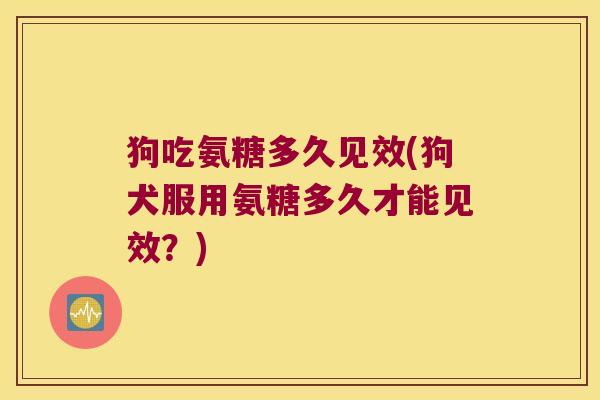 狗吃氨糖多久见效(狗犬服用氨糖多久才能见效?)
