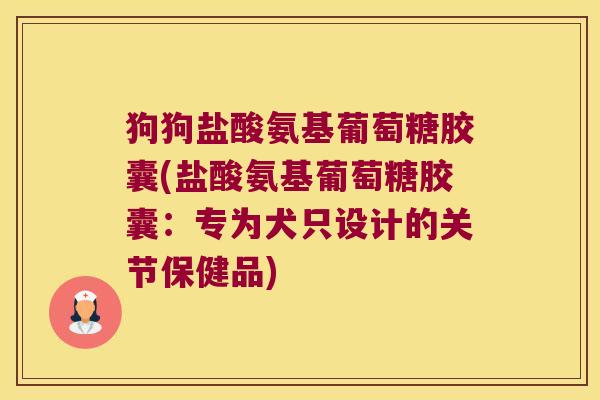狗狗盐酸氨基葡萄糖胶囊(盐酸氨基葡萄糖胶囊:专为犬只设计的关节保健品) 狗狗盐酸氨基葡萄糖胶囊(盐酸氨基葡萄糖胶囊:专为犬只设计的关节保健品)