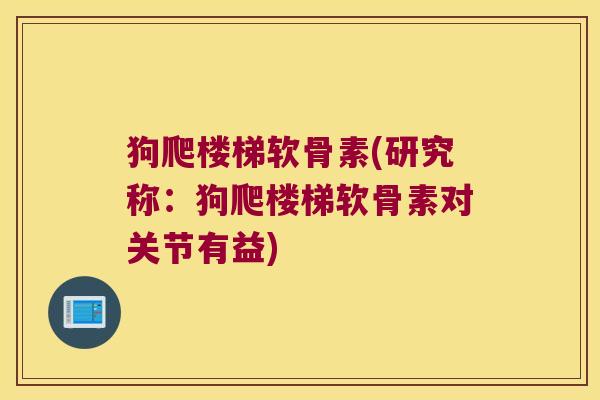 狗爬楼梯软骨素(研究称:狗爬楼梯软骨素对关节有益)