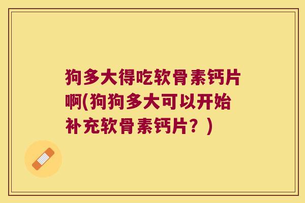 狗多大得吃软骨素钙片啊(狗狗多大可以开始补充软骨素钙片?)