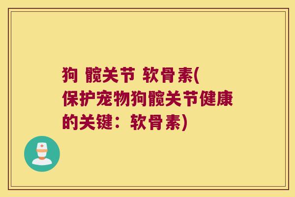 狗 髋关节 软骨素(保护宠物狗髋关节健康的关键:软骨素)
