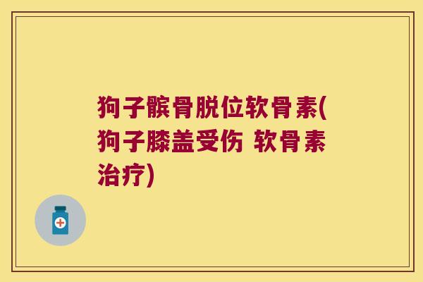 狗子髌骨脱位软骨素(狗子膝盖受伤 软骨素治疗)