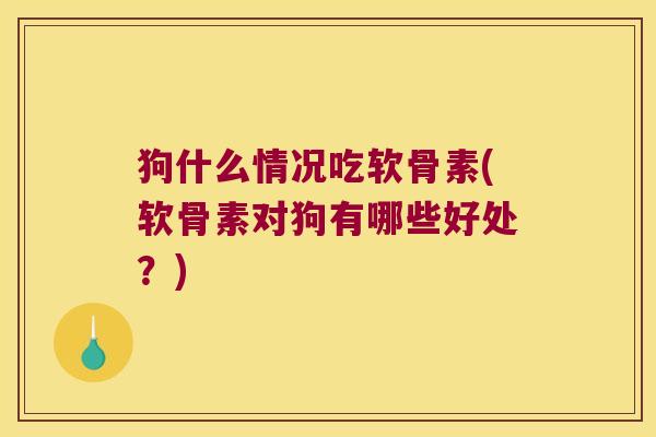 狗什么情况吃软骨素(软骨素对狗有哪些好处?)