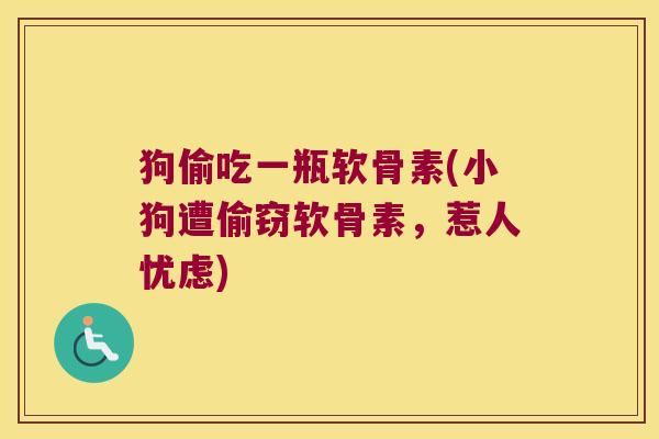 狗偷吃一瓶软骨素(小狗遭偷窃软骨素,惹人忧虑)