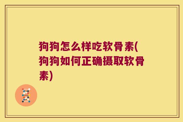狗狗怎么样吃软骨素(狗狗如何正确摄取软骨素)