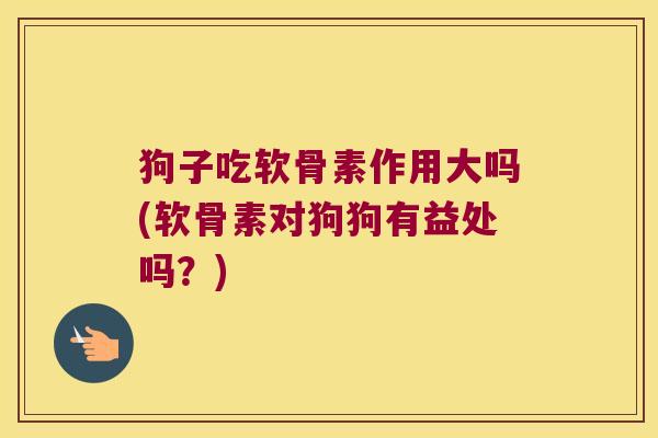 狗子吃软骨素作用大吗(软骨素对狗狗有益处吗?)