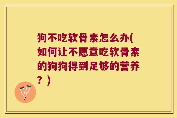 狗不吃软骨素怎么办(如何让不愿意吃软骨素的狗狗得到足够的营养?)