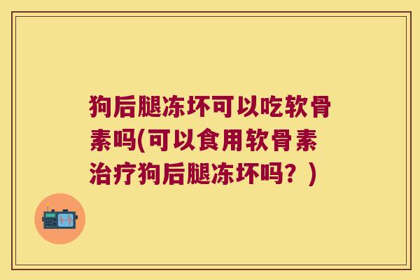 狗后腿冻坏可以吃软骨素吗(可以食用软骨素治疗狗后腿冻坏吗?)