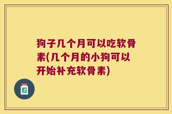 狗子几个月可以吃软骨素(几个月的小狗可以开始补充软骨素)