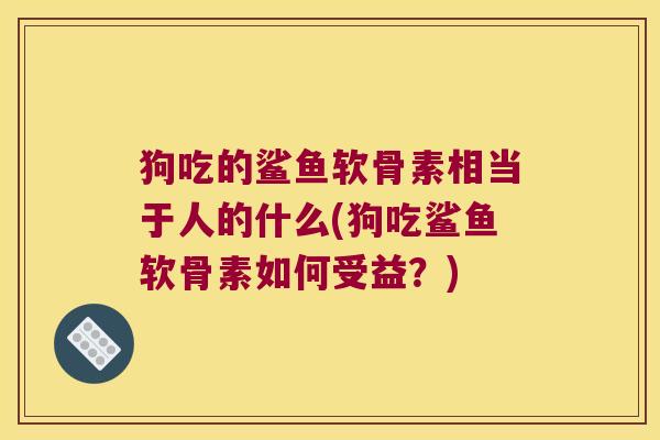 狗吃的鲨鱼软骨素相当于人的什么(狗吃鲨鱼软骨素如何受益?)