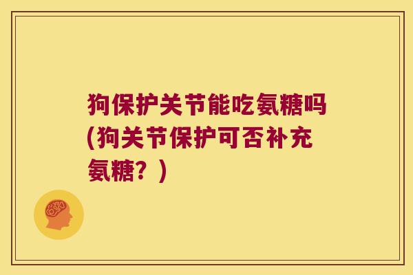 狗保护关节能吃氨糖吗(狗关节保护可否补充氨糖?)