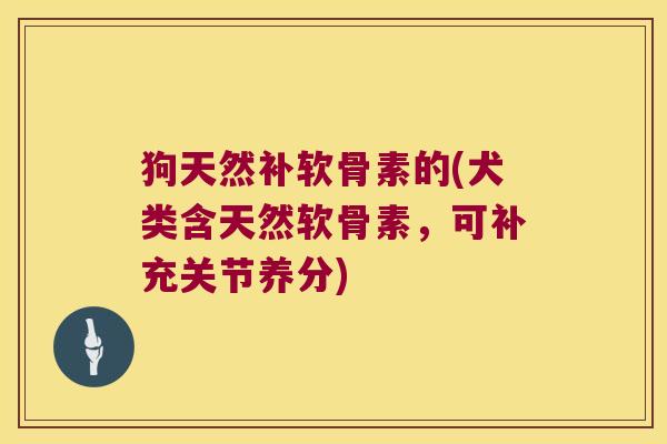 狗天然补软骨素的(犬类含天然软骨素,可补充关节养分)