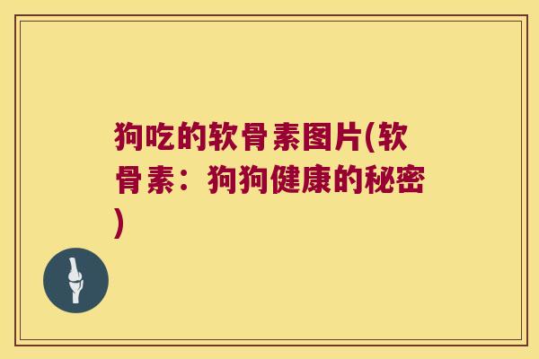 狗吃的软骨素图片(软骨素:狗狗健康的秘密)