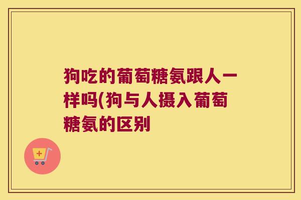 狗吃的葡萄糖氨跟人一样吗(狗与人摄入葡萄糖氨的区别