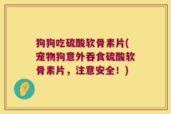 狗狗吃硫酸软骨素片(宠物狗意外吞食硫酸软骨素片,注意安全!)