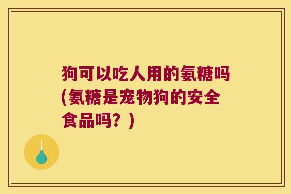 狗可以吃人用的氨糖吗(氨糖是宠物狗的安全食品吗?)