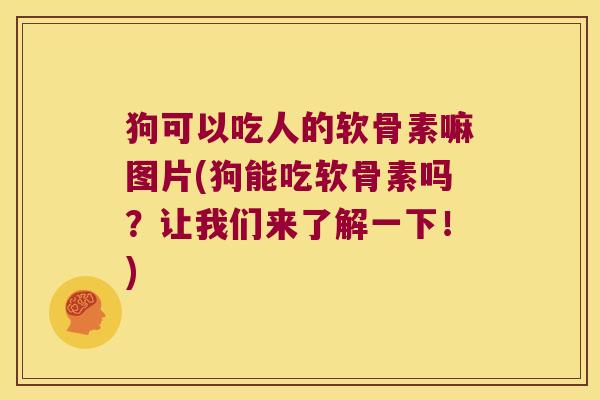 狗可以吃人的软骨素嘛图片(狗能吃软骨素吗?让我们来了解一下!)