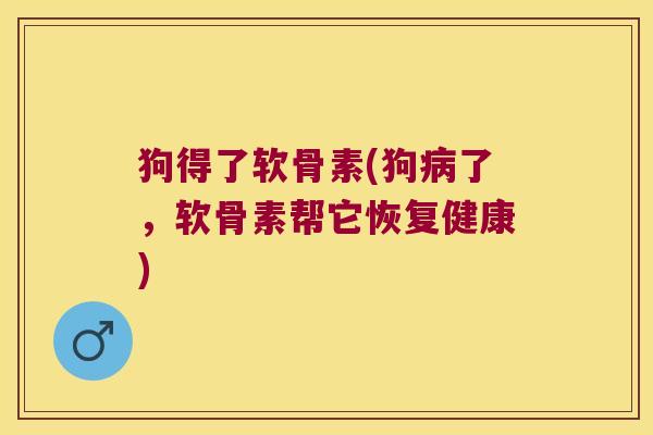狗得了软骨素(狗病了,软骨素帮它恢复健康)