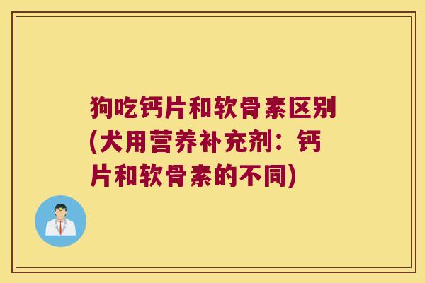 狗吃钙片和软骨素区别(犬用营养补充剂:钙片和软骨素的不同)