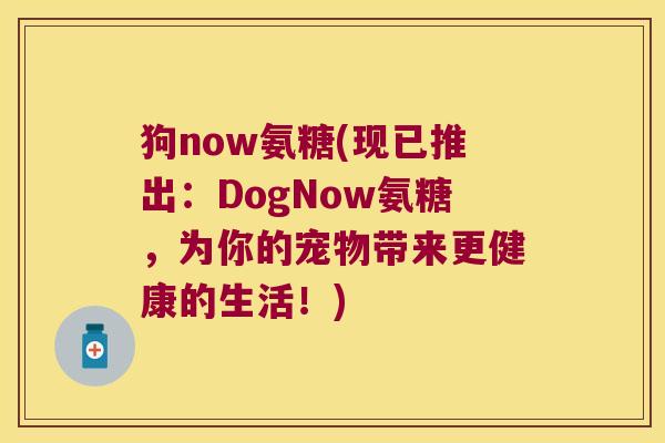 狗now氨糖(现已推出:DogNow氨糖,为你的宠物带来更健康的生活!)