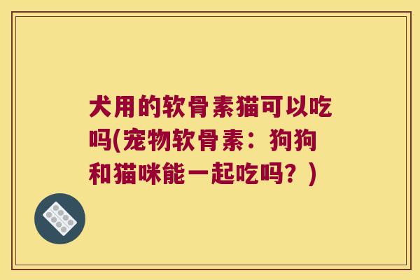 犬用的软骨素猫可以吃吗(宠物软骨素:狗狗和猫咪能一起吃吗?)