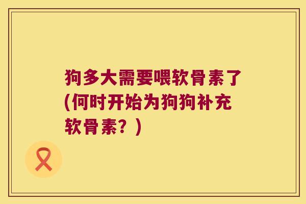 狗多大需要喂软骨素了(何时开始为狗狗补充软骨素?)