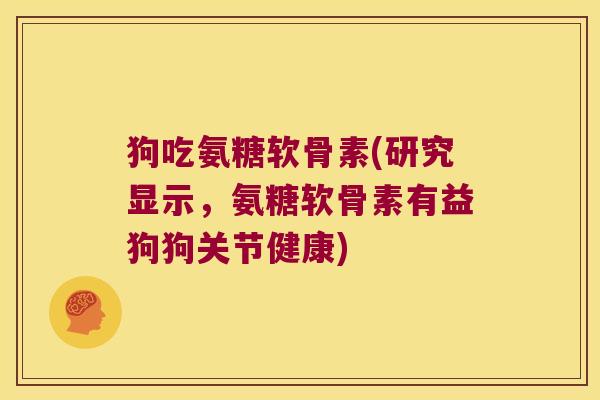 狗吃氨糖软骨素(研究显示,氨糖软骨素有益狗狗关节健康)