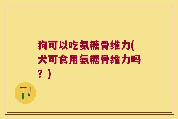 狗可以吃氨糖骨维力(犬可食用氨糖骨维力吗?)